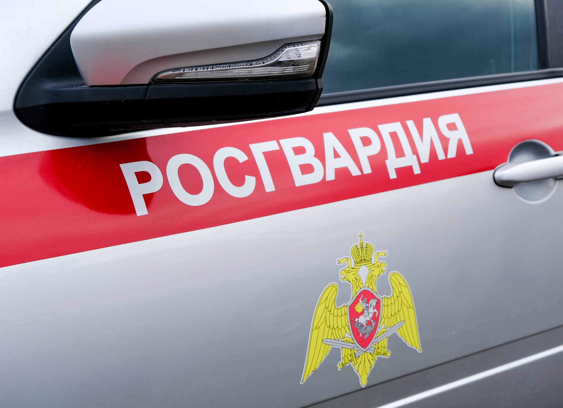 В Йошкар-Оле сотрудники Росгвардии задержали гражданина, подозреваемого в краже из сетевого гипермаркета