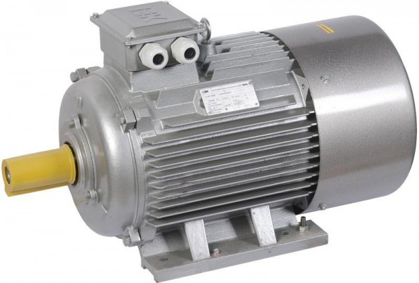  Электродвигатель АИР DRIVE 3ф 200L2 660В 45кВт 3000об/мин 1081 ИЭК DRV200-L2-045-0-3010 