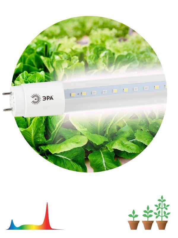  Лампа светодиодная для растений FITO-18W-Ra90-Т8-G13-NL Т8 92LED 2835 красн. и бел. IP20 35000ч стекло полноспектральная ЭРА Б0042987 