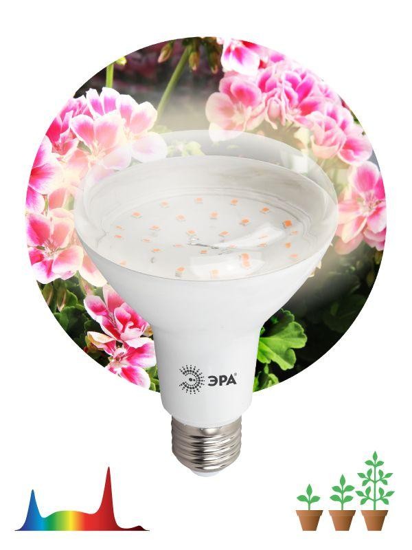  Лампа светодиодная для растений FITO-15W-Ra90-E27 BR30 15Вт 220-240В полноспектральная бел. спектр ЭРА Б0039173 
