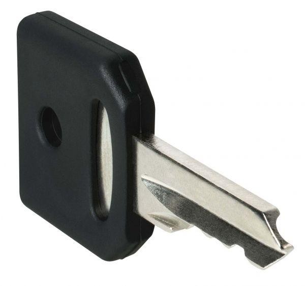  Комплект ключей N 455 SchE ZBG455 