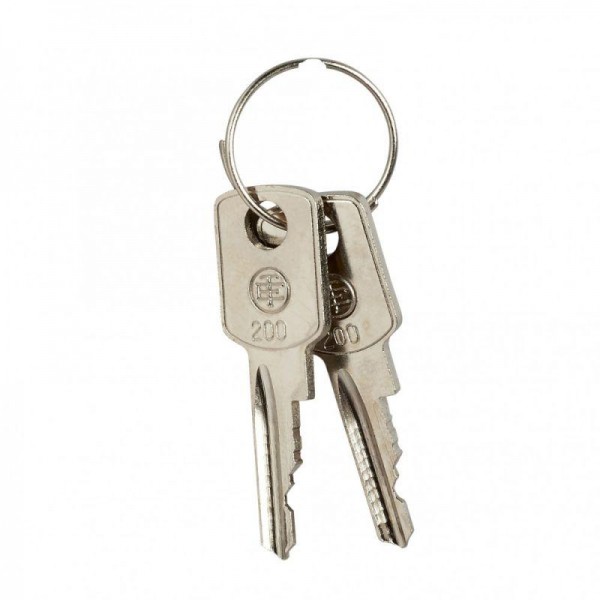  Набор ключей для переключателя (уп.2шт) SchE ZB6Y007 