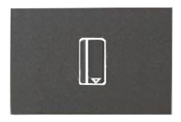  Механизм карточного (54мм) выкл. 2мод. с задержкой отключения (5-90сек) с накладкой Zenit антрацит ABB 2CLA221450N1801 