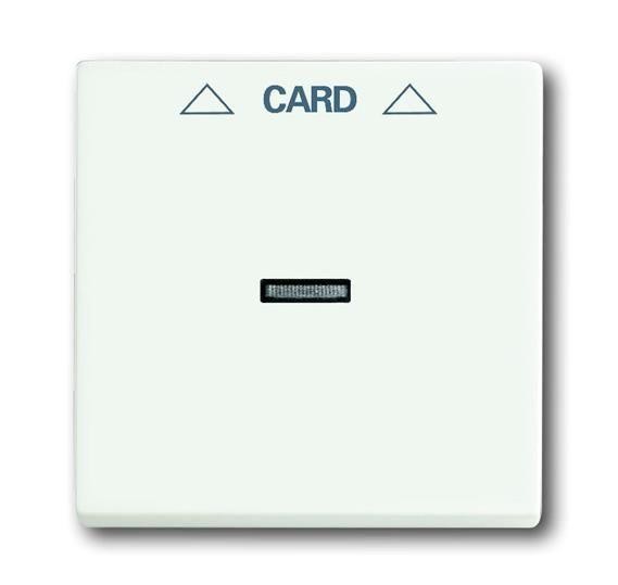  Плата центральная (накладка) Solo/Future для механизма карточного выключателя 2025 U бел. бархат ABB 2CKA001710A3928 