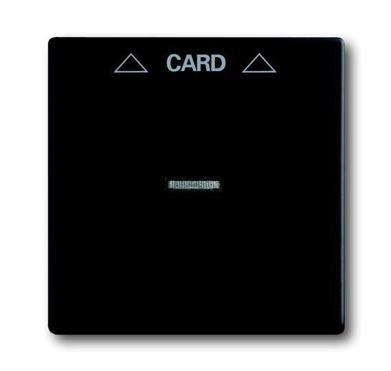  Плата центральная (накладка) Solo/Future для механизма карточного выкл. 2025 U черн. бархат ABB 2CKA001710A3905 