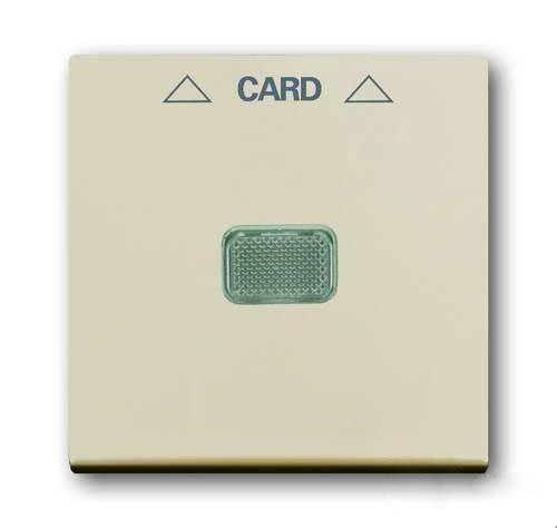  Накладка (центральная плата) для механизма карточного выкл. 2025 U Basic 55 сл. кость ABB 2CKA001710A3865 