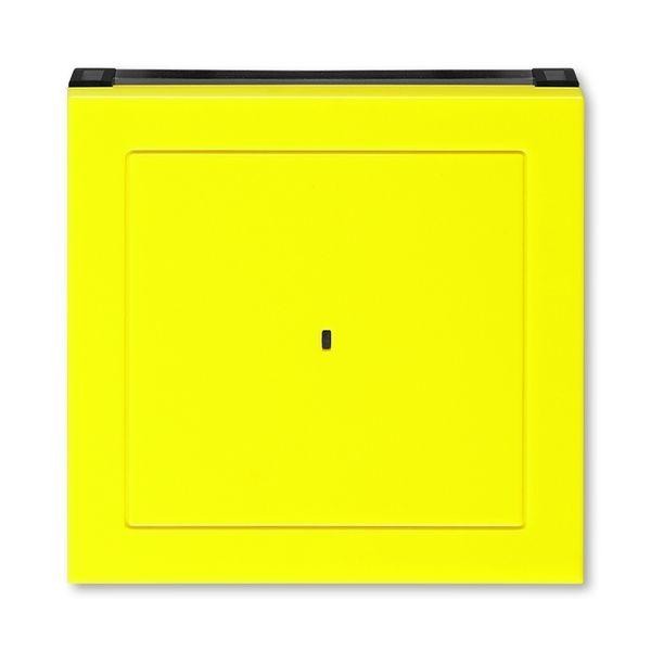  Накладка Levit для выключателя карточного желт./дым. черн. ABB 2CHH590700A4064 